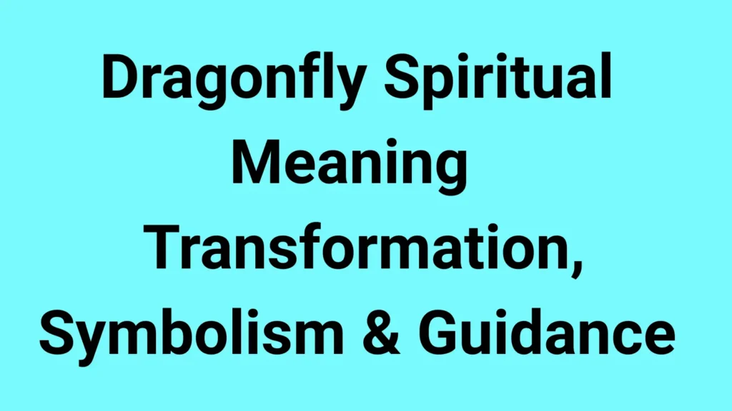 Dragonfly Spiritual Meaning