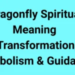 Dragonfly Spiritual Meaning