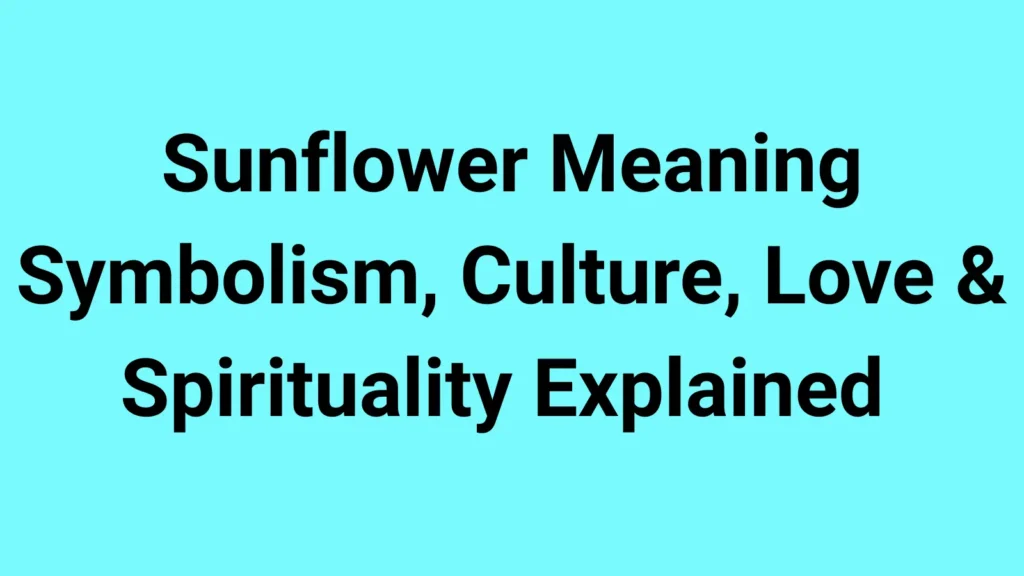 Sunflower Meaning