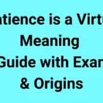 Patience is a Virtue Meaning